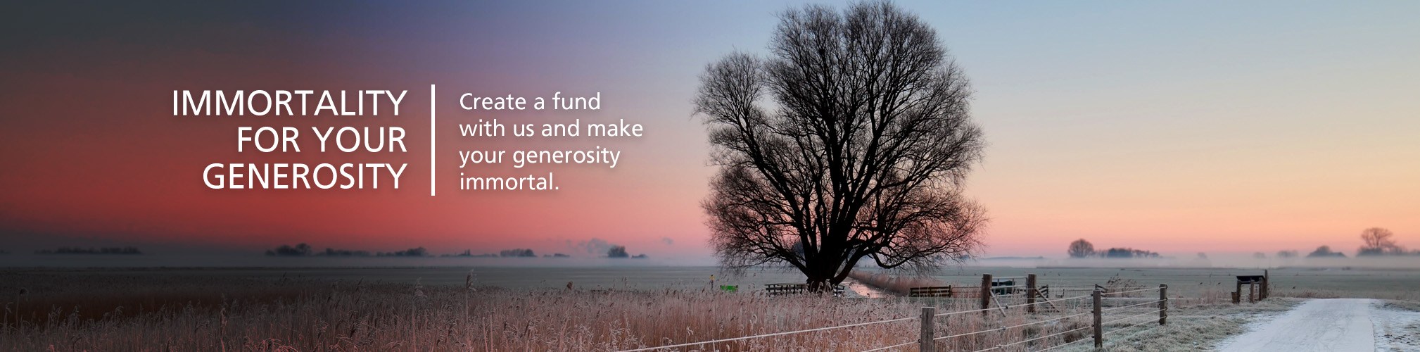 WCCF Banners winter EOY 2025