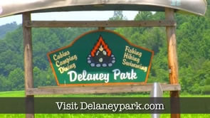 delaney park